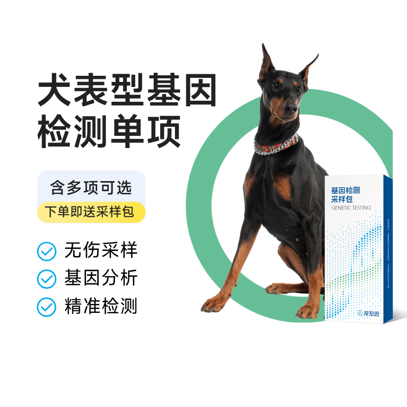 犬舍定制犬毛色基因检测单项