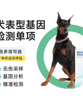 宠知因|犬表型基因检测单项宠物毛色白柴马鞍长毛可可色BE位点DKI