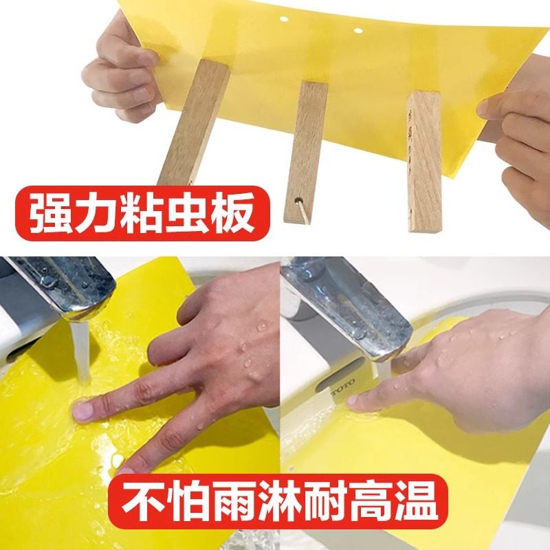 粘虫板黄板双面诱虫板贴纸灭小飞虫沾果蝇诱捕器果园蚊子苍蝇大棚,鲜花速递/花卉仿真/绿植园艺,其它园艺用品,淘宝优惠券,粉丝福利购,淘宝优惠卷