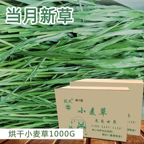 2026年烘干小麦草干草兔子龙猫荷兰猪牧草小麦新草 干草1000g毛重