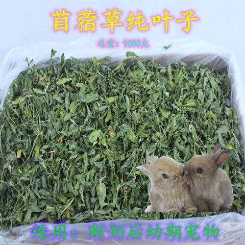 紫花苜蓿草叶子全叶兔子龙猫荷兰猪饲料粮食纯叶子幼兔食物1000克