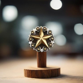 饰扣 复古德州之五角星镀银镀金装 财布扣包包五金配件25 35mm美式