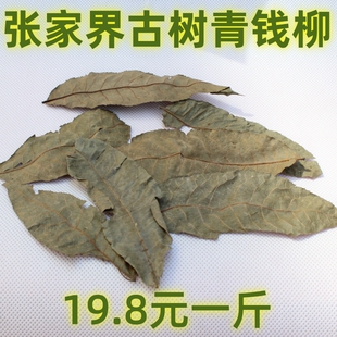 500克张家界古树青钱柳叶青钱柳青钱