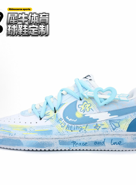 【定制球鞋】Nike Court Vision 1 夏日晴空 手绘 蓝白DH2987-101