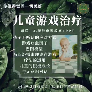 儿童心理学当代儿童游戏治疗整合式游戏治疗的疗愈力量游戏心理学
