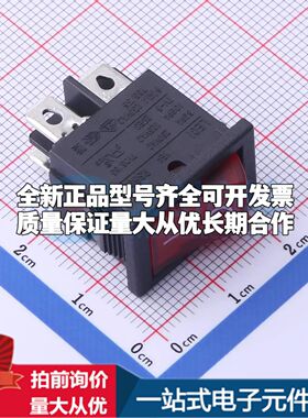 RS601D-201N006RB船型开关插件,21x15mm RS601D-201N006RB