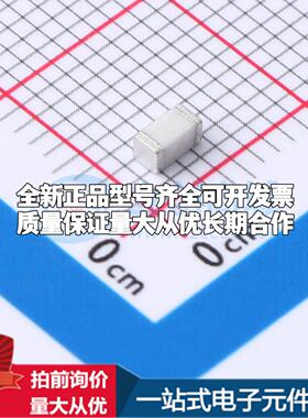 全新2R200SM-E 2R200SM-E SMD,1.6x3.2mm 气体放电管可开票配套