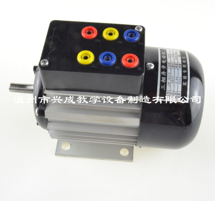 JW6314 三相鼠笼式异步电动机