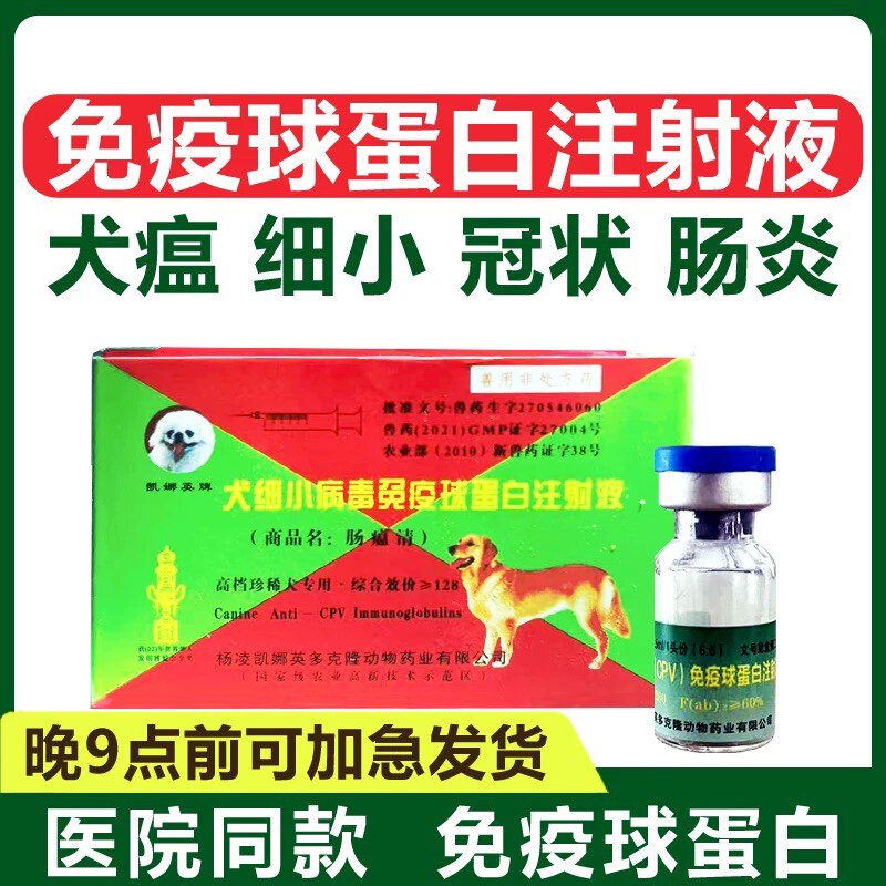 狗瘟治疗细小冠状病毒免疫球蛋白单抗干扰素血清肠炎药抗体犬瘟热