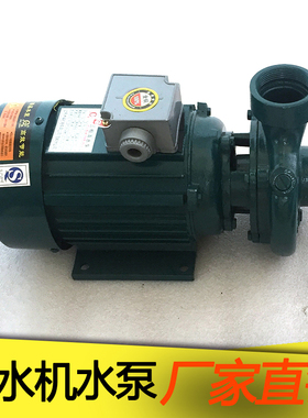 清水泵380V三相抽水泵 电动家用微型离心泵家用灌溉泵搅拌机泵