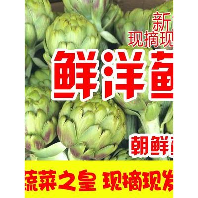 网红菜鲜洋蓟新鲜朝鲜蓟大果当季现摘云南洋蓟罕见蔬菜法国百合