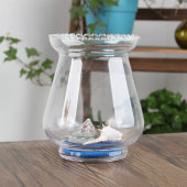 水培玻璃花瓶观音竹仙人掌绿萝鱼缸冬瓜器皿透明居家桌面卧室客厅