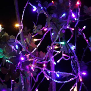 水晶发光LED小红灯笼新年布置彩灯闪灯串灯带电塑料灯笼串彩灯条