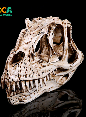 角鼻龙恐龙头骨树脂骷髅头创意居家摆件个性摆件 KLGT017