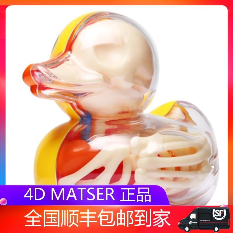 4d master小黄鸭透视骨骼内脏器官解剖模型益智拼装玩具摆件公仔
