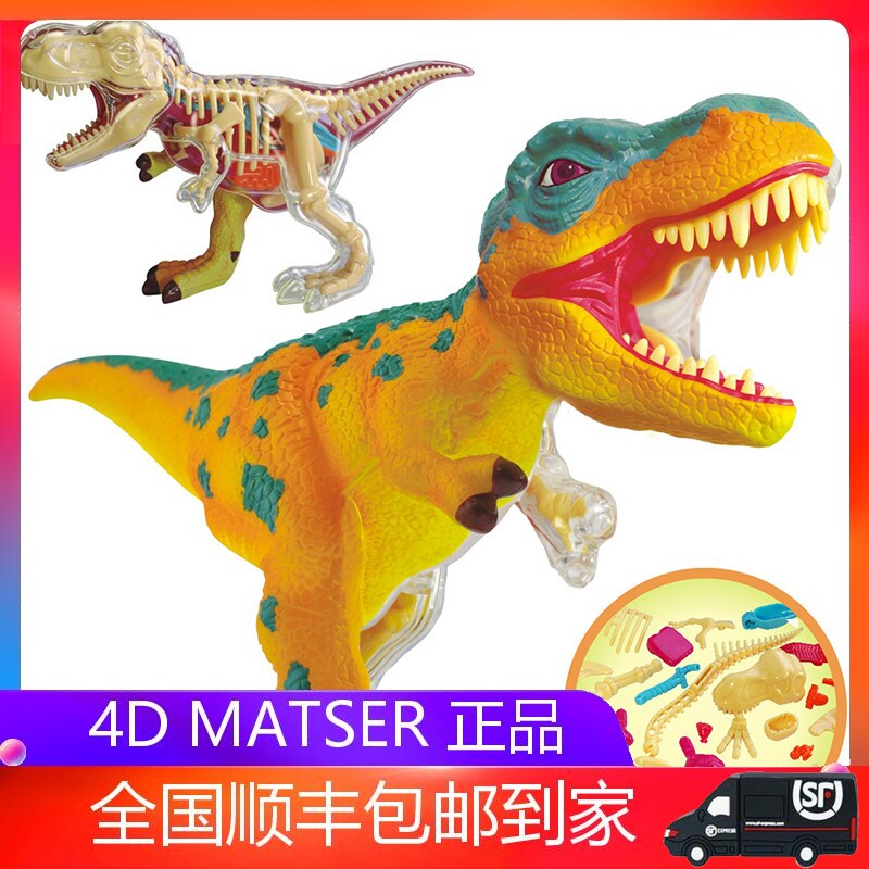 4d master恐龙解剖拼装模型q版霸王龙三角龙翼龙大白鲨仿真玩具