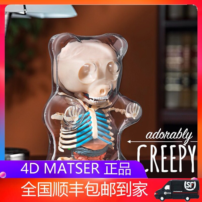 4d master软糖大熊小熊透视骨骼内脏器官解剖模型拼装玩具摆件
