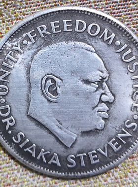 6个包邮仿古做旧铜钱纪念收藏光绪银圆元古钱外国钱币背狮子