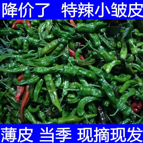 特辣青辣椒新鲜现摘薄皮超辣小皱皮辣椒农家蔬菜青红辣椒剁椒酱