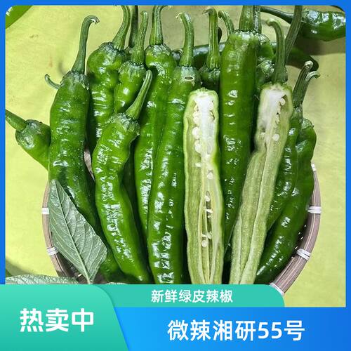 农家蔬菜新鲜现摘湘研55号薄皮青辣椒微辣中辣香辣青辣椒牛角椒