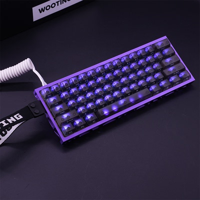 WOOTING 60HEV2满改-紫镂空-黑透