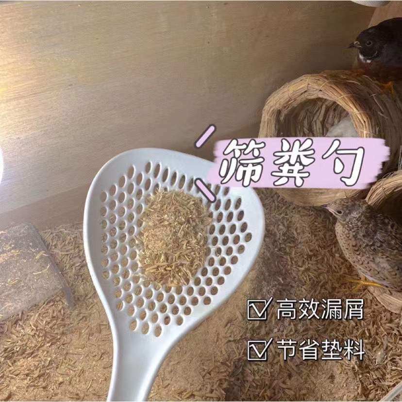芦丁鸡发酵床饲养箱清洁仓鼠宠物木屑稻壳粪便清理铲子筛勺漏网,宠物/宠物食品及用品,浴房/厕所,淘宝优惠券,粉丝福利购,淘宝优惠卷