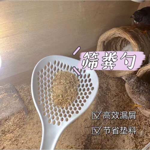 其他垫料铲子芦丁鸡粪便清理