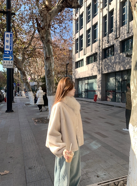 Zzhen珍珍 双色金貂染尖矜贵感宽松气质新款环保皮草外套狐狸毛领