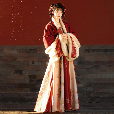 瑶台月下原创汉服女【花采云】唐制齐胸一片式襦裙对襟上衣冬新款