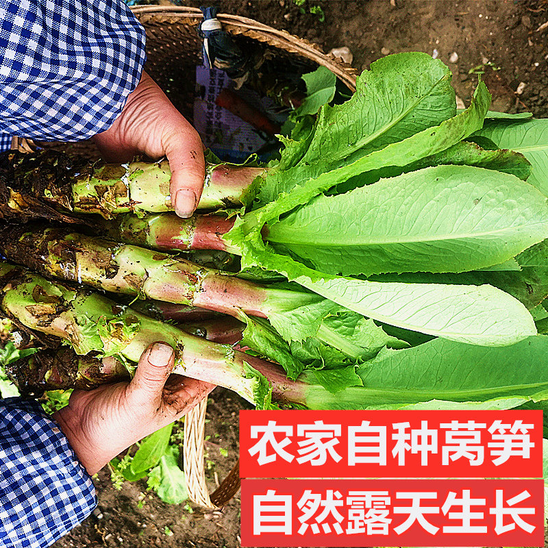 重庆莴笋新鲜红皮香莴苣薄皮绿心农家露天种植嫩莴笋应季蔬菜,水产肉类/新鲜蔬果/熟食,叶菜类,淘宝优惠券,粉丝福利购,淘宝优惠卷