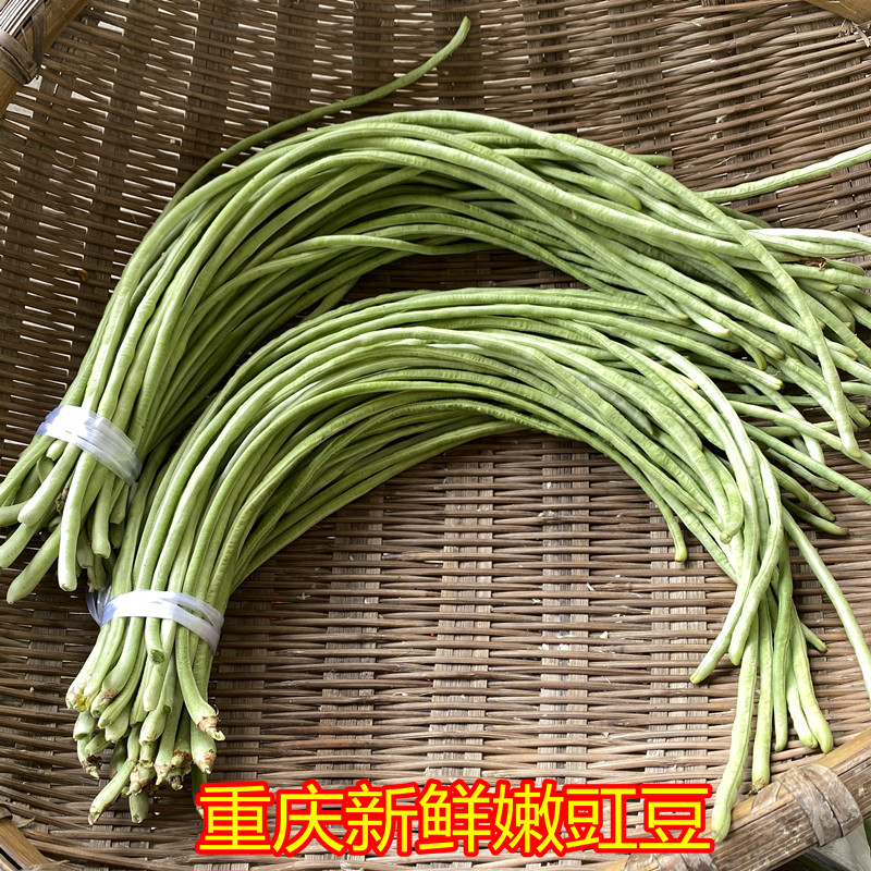重庆新鲜嫩豇豆农家长豆角露天种植青豆角现摘可腌制酸豇豆