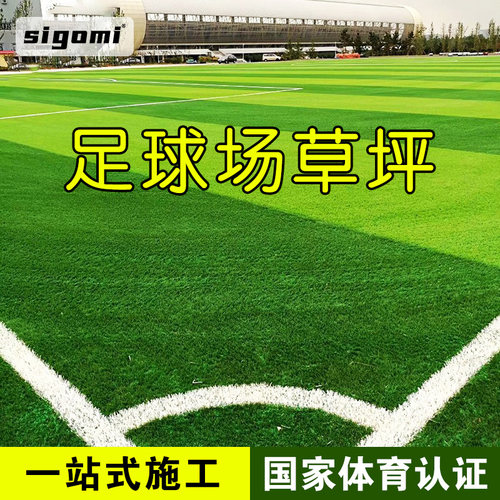 西谷米足球场草坪专业免填充