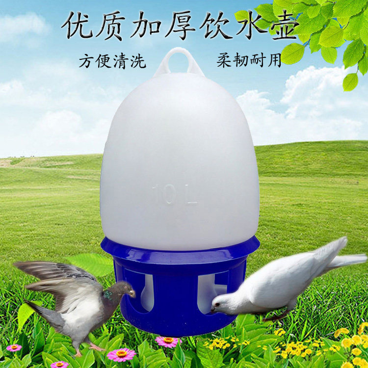 鸽子用品用具鸽子水壶鸽子自动饮水器信鸽水壶饮水器鸽子饮水器