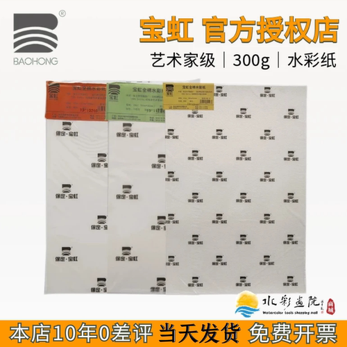 宝虹艺术家级水彩纸300g全开