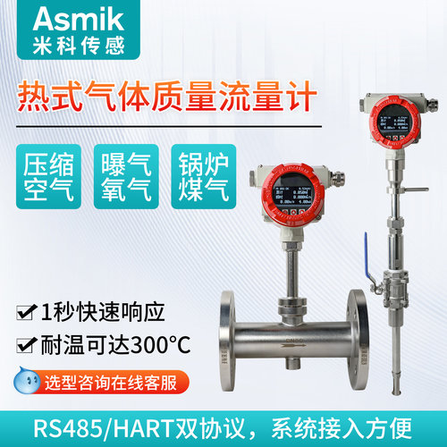 热式气体质量流量计插入式
