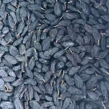 黑加仑大葡萄干 新疆黑加仑葡萄干黑玫瑰葡萄干一包500克