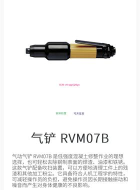 配件原装进口ATLAS COPCO阿特拉斯气动工具RVM 07B气铲气凿842501
