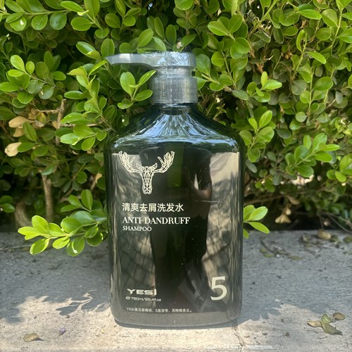 洗发水无硅油正品控油洗发露