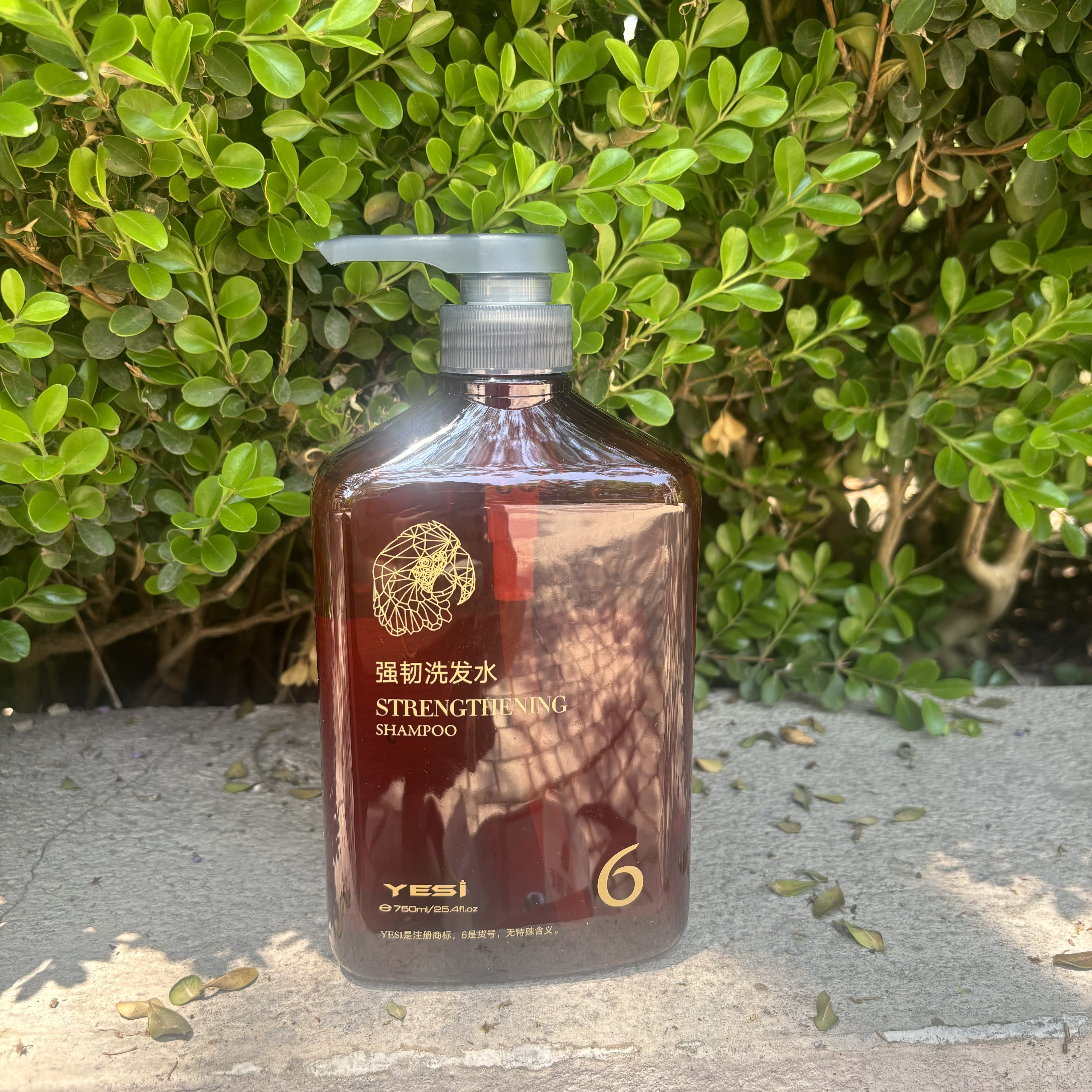 悦丝6号洗发水 生姜控油养护头皮清爽平衡不粘腻温润清洁修护受损
