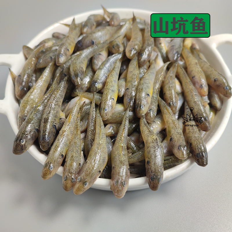 大号山坑鱼小龙鱼小河鱼小鱼仔冷冻水产冰鲜豪根鱼5份21省包邮