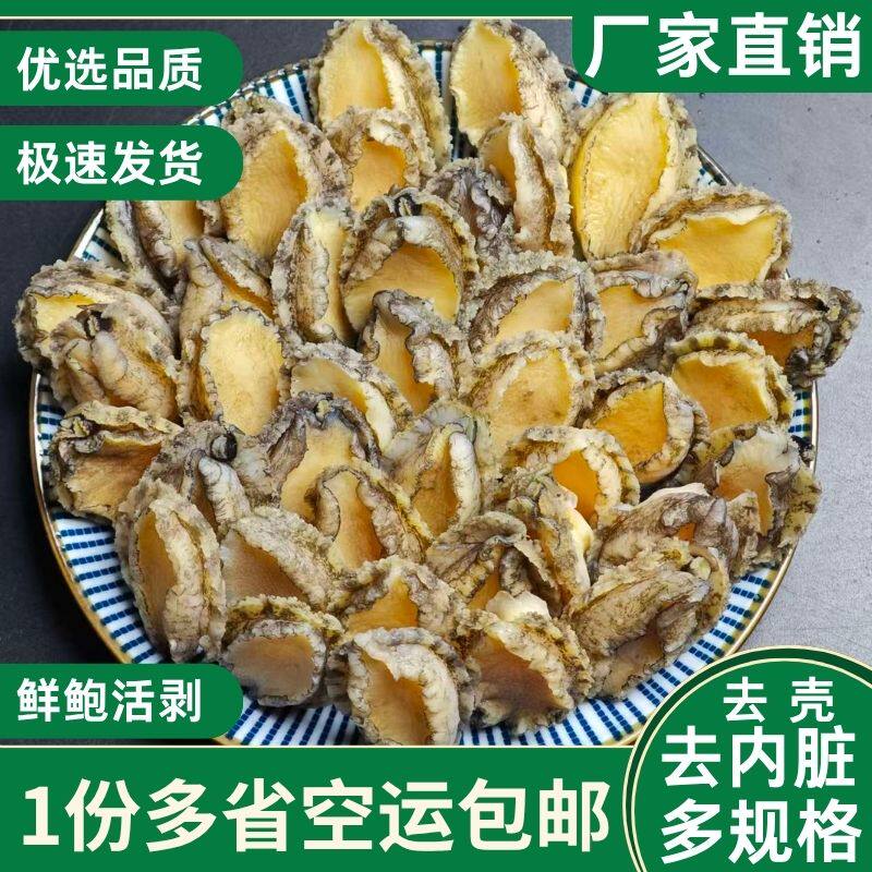 鲜活冷冻鲍鱼肉去壳去内脏小鲍鱼仔烧烤串串冰鲜商用海鲜火锅食材