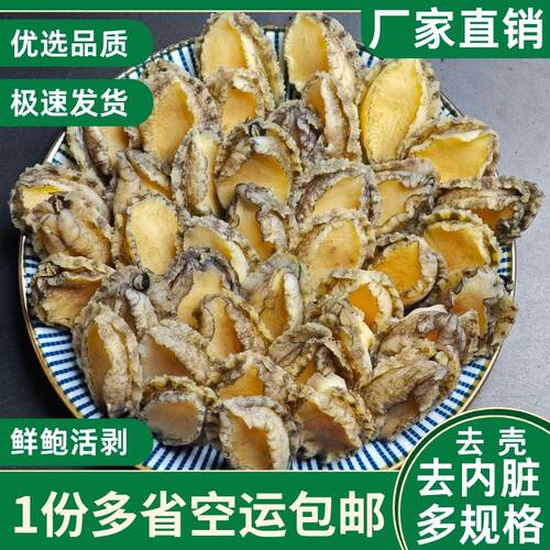 鲜活冷冻鲍鱼肉去壳去内脏小鲍鱼