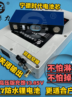 真保力大容量锂电池落水自动断电