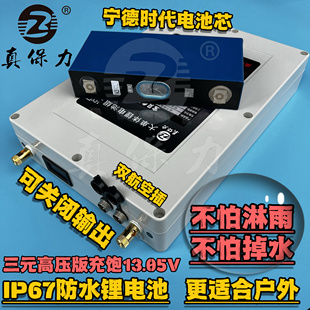 真保力防水锂电池12V大容量100Ah宁德大单体电芯户外蓄电瓶锂电瓶