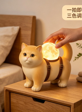 现代简约风金渐层猫咪暖光台灯床头柜学习卧室睡眠触摸小夜灯摆件