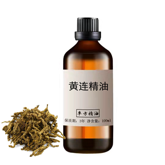 黄连精油100ml单方精油按摩刮痧推背泡脚