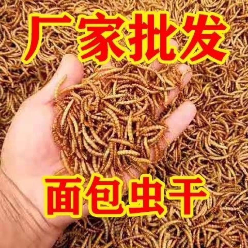仓鼠鼠粮金丝熊主食套餐自配粮面包虫干布丁鼠饲料