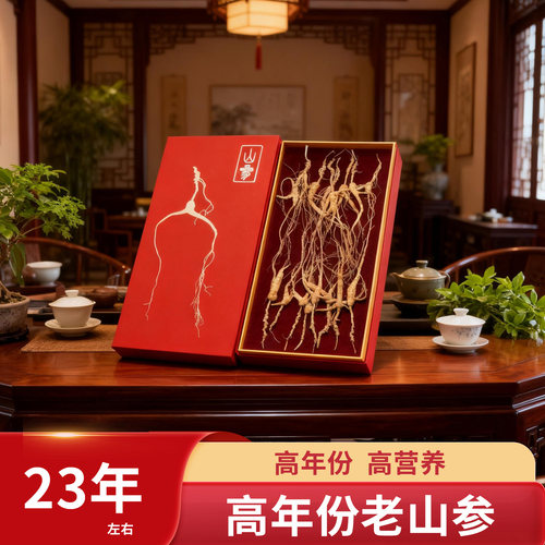 高年份老山参 林下山参东北长白山泡酒炖汤礼盒朱洪达人参之道