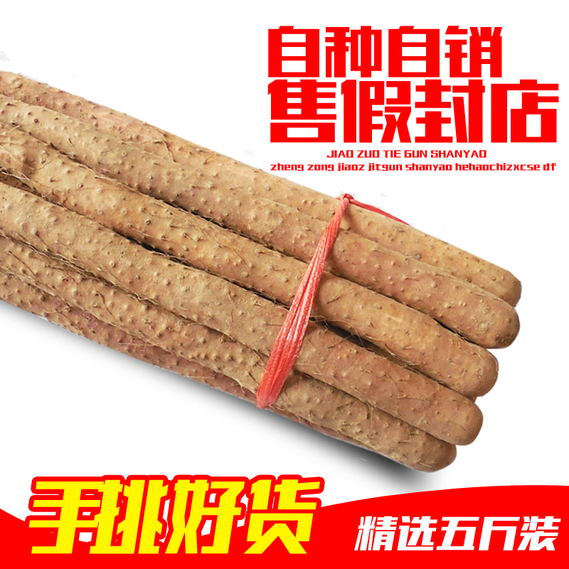 温县铁棍山药新鲜怀山淮山河南焦作土特产铁杆铁棒山药新鲜蔬菜