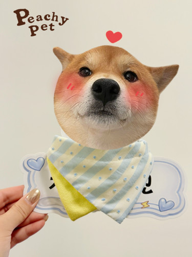 Peachy宠物围兜蓝白条纹口水巾波点狗狗围脖猫咪小中型犬玩偶围兜
